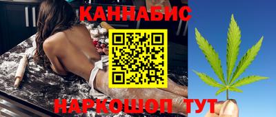 дмт Кингисепп