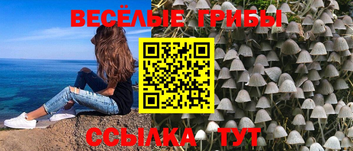Галлюциногенные грибы мицелий Котовск